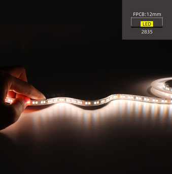 2835 · W12 · 168 bare LED strip product image